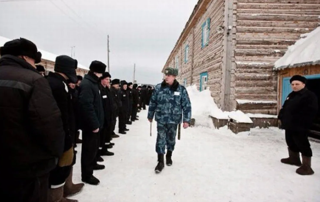 Жизнь в зоне особенности