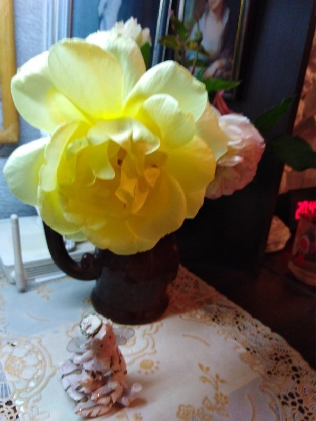 @Фото автора канала.