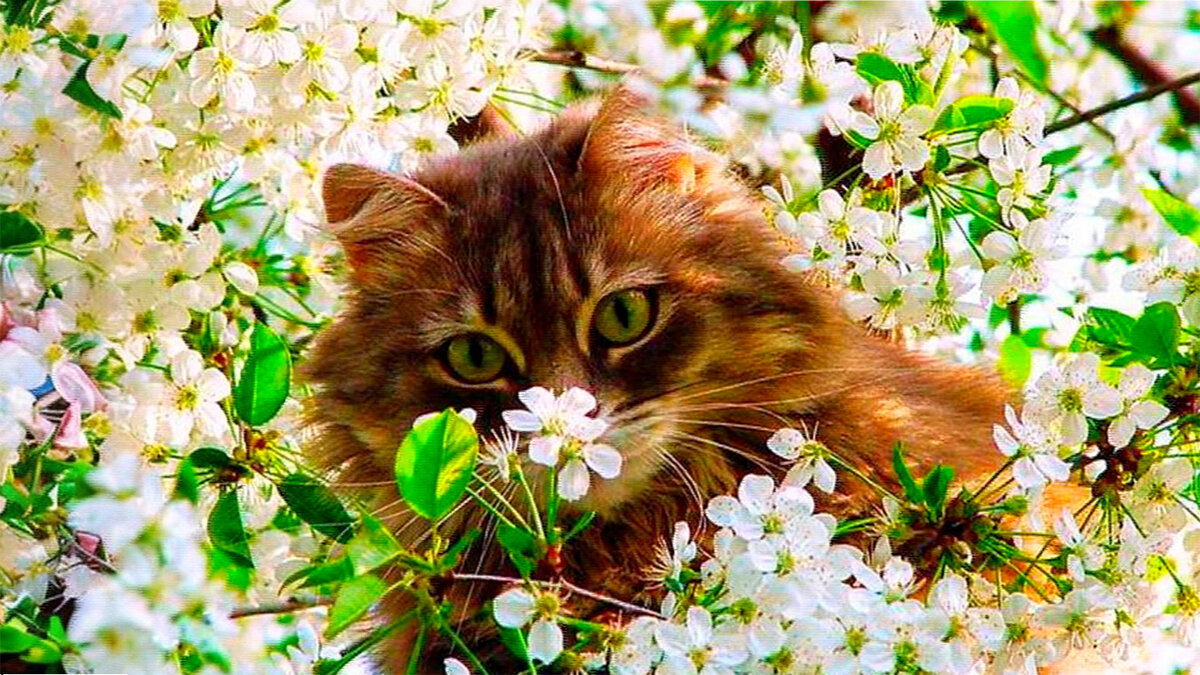 источник фото: puzzleit.ru