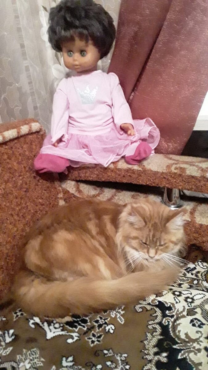 Амельсина поменяла место дислокации.Переместилась на диван.