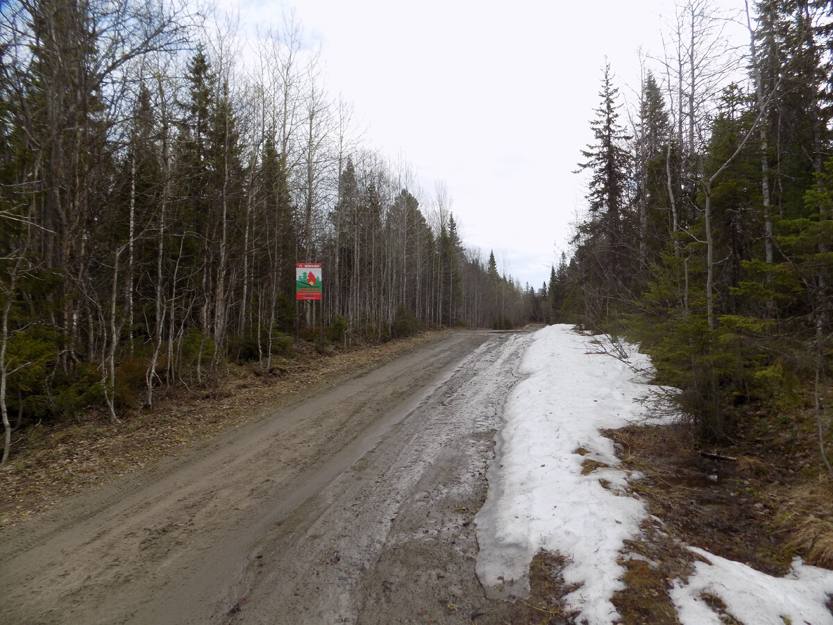 Дорога на Муксалму.