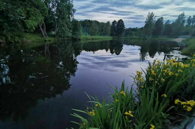   Игорь Самохвалов/ПГ