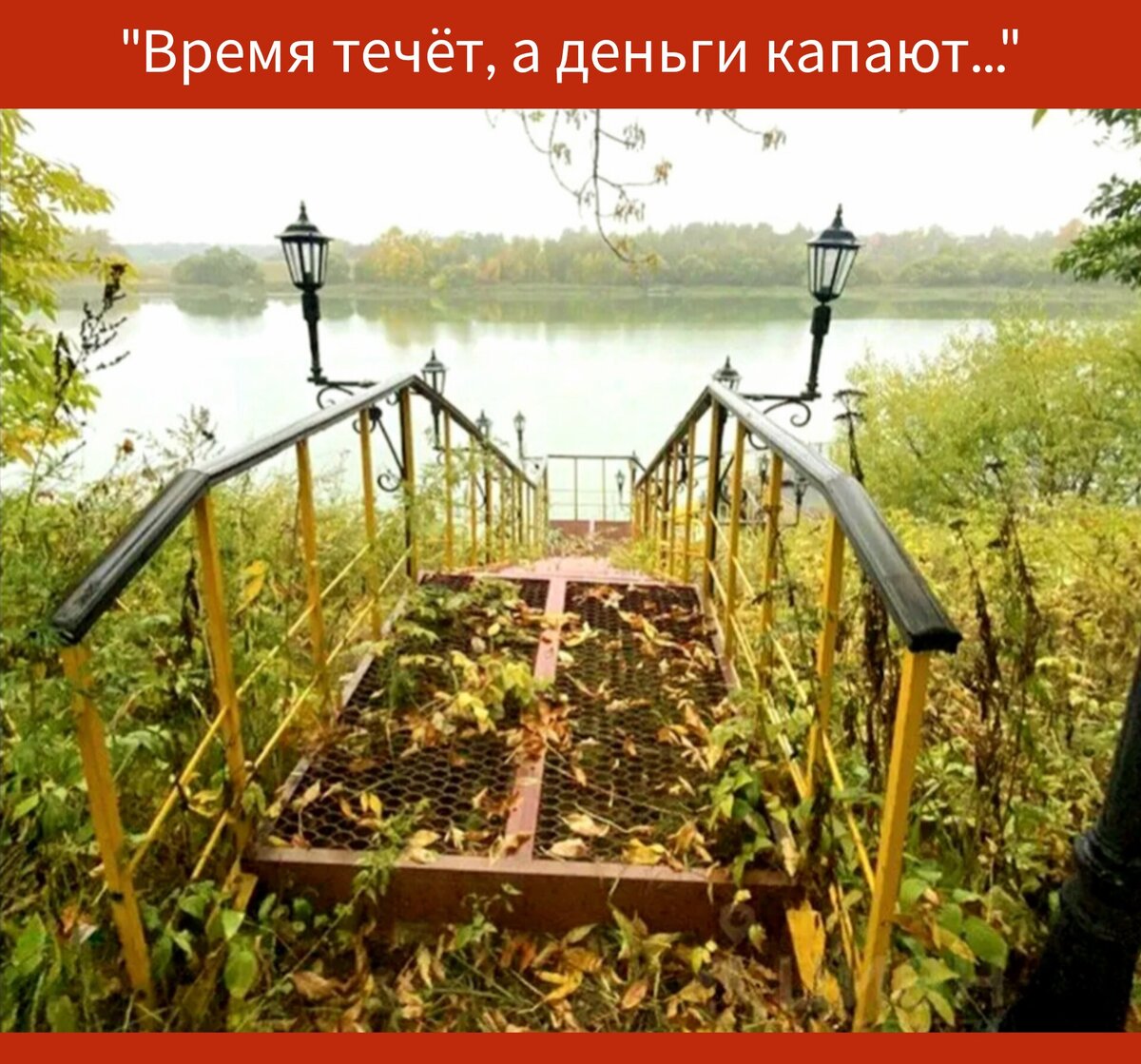 Фото в редакции автора