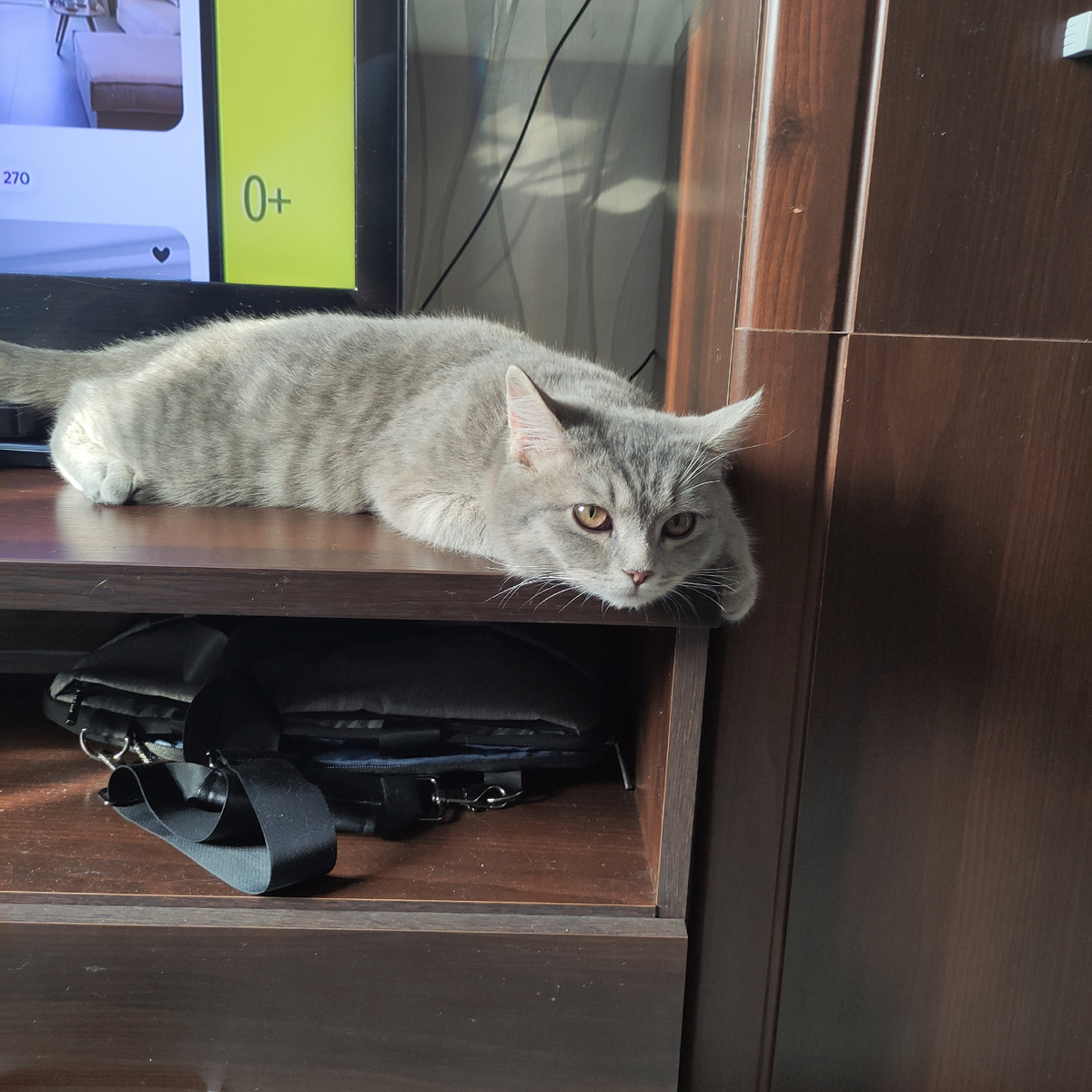 Из личного архива автора. Говори, мне ОЧЕНЬ интересно