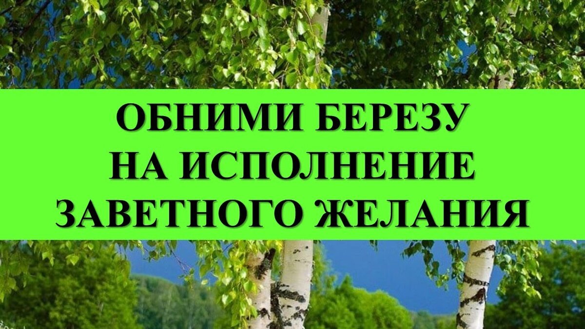 Троица вода земля лес когда