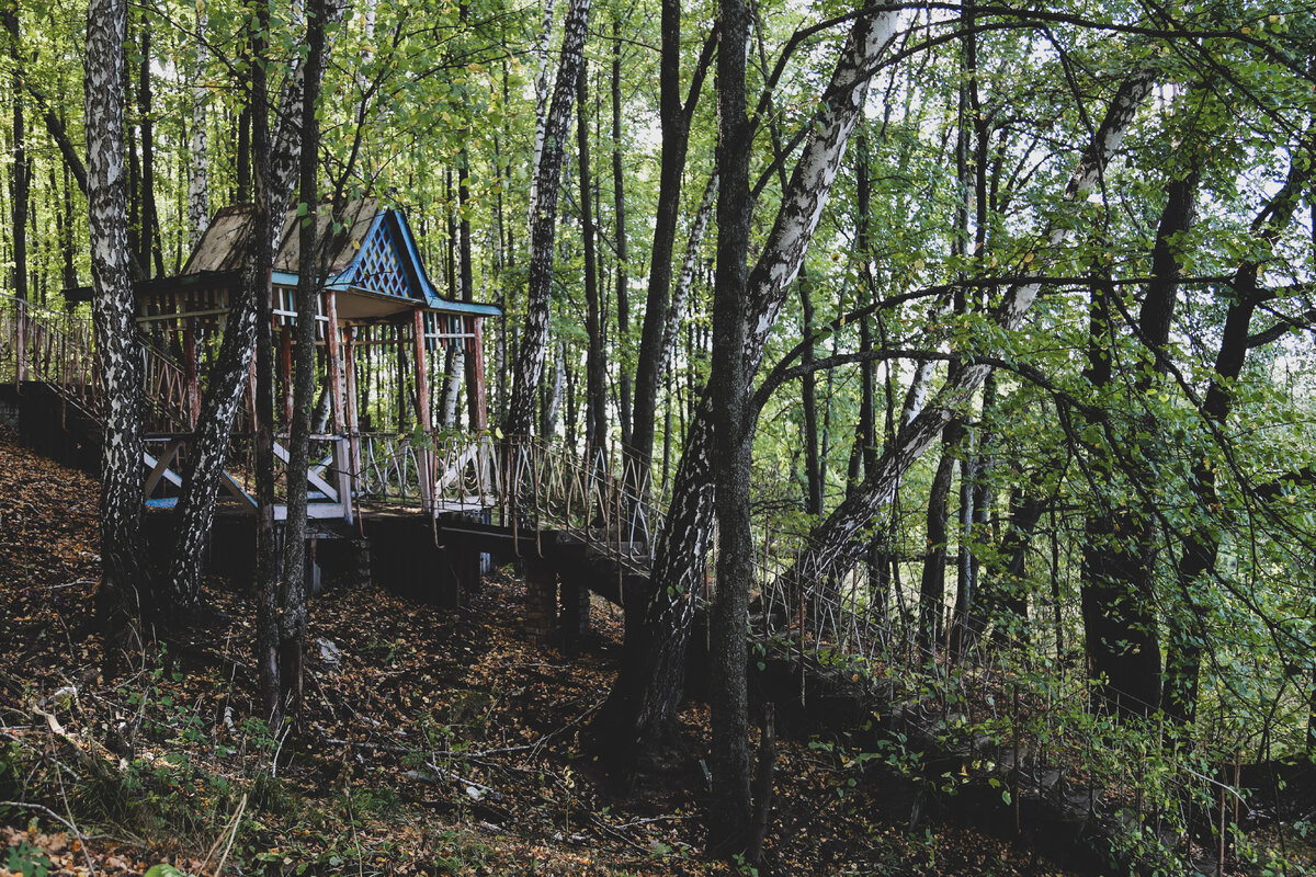 Фото: Тимур Шарипкулов