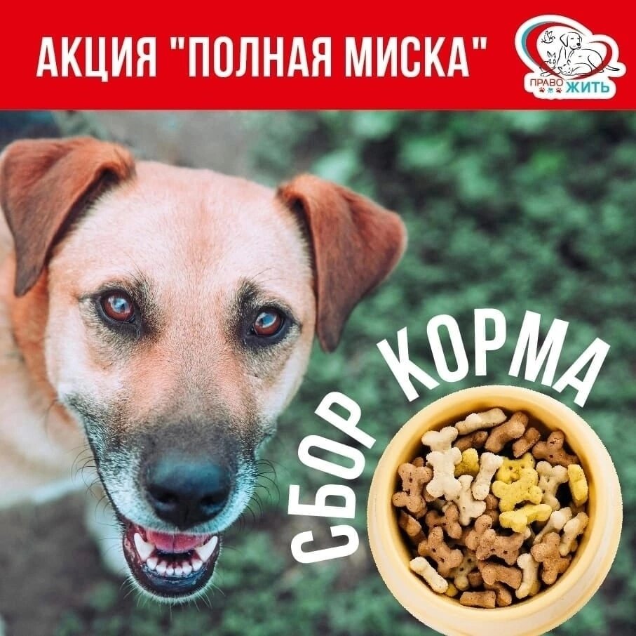 АКЦИЯ 