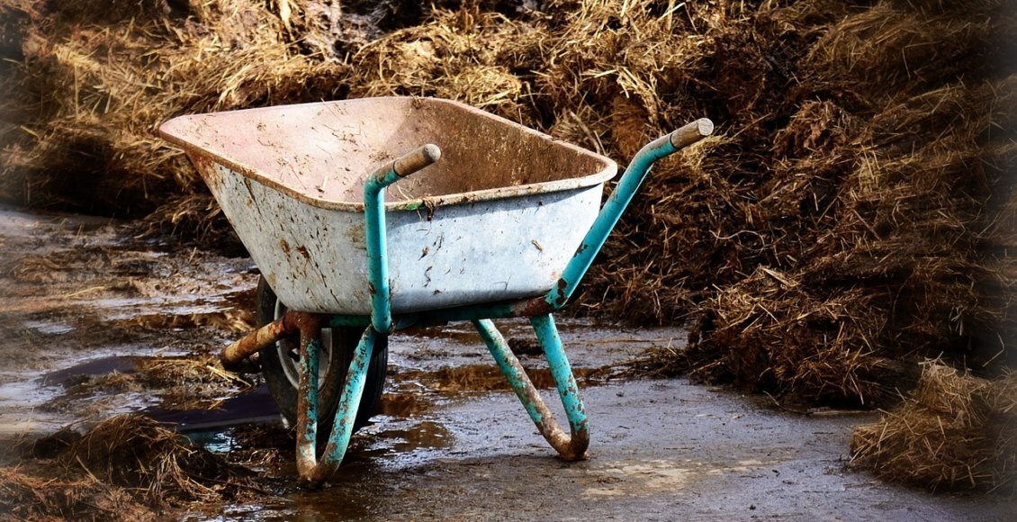    Фото: pixabay.com