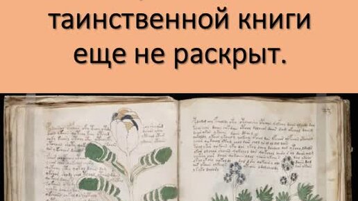 Манускрипт Войнича. Книга Войнича. Самые таинственные книги. Рукопись Войнича Расшифрованный.