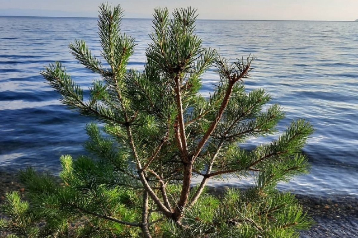    На Байкале можно отправиться в многодневный водный круиз.