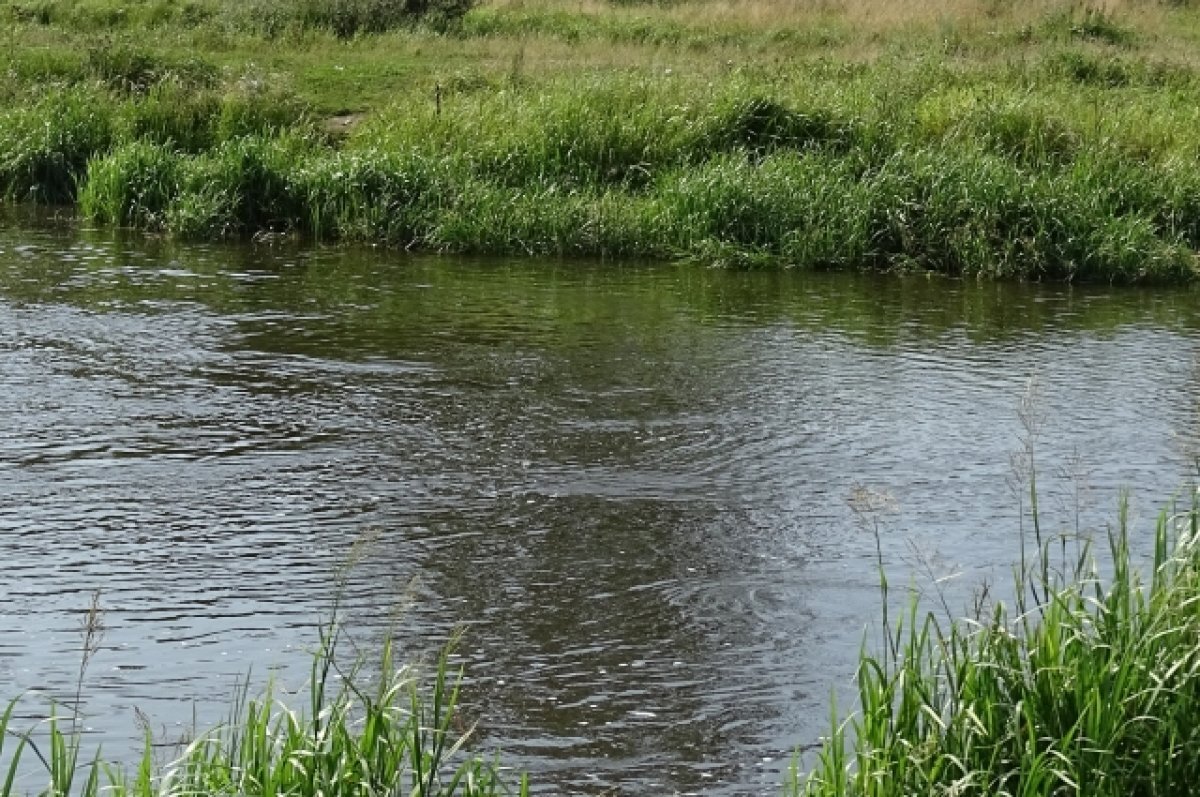    На пяти пляжах Воронежа выявили превышение кишечной палочки в 240 раз