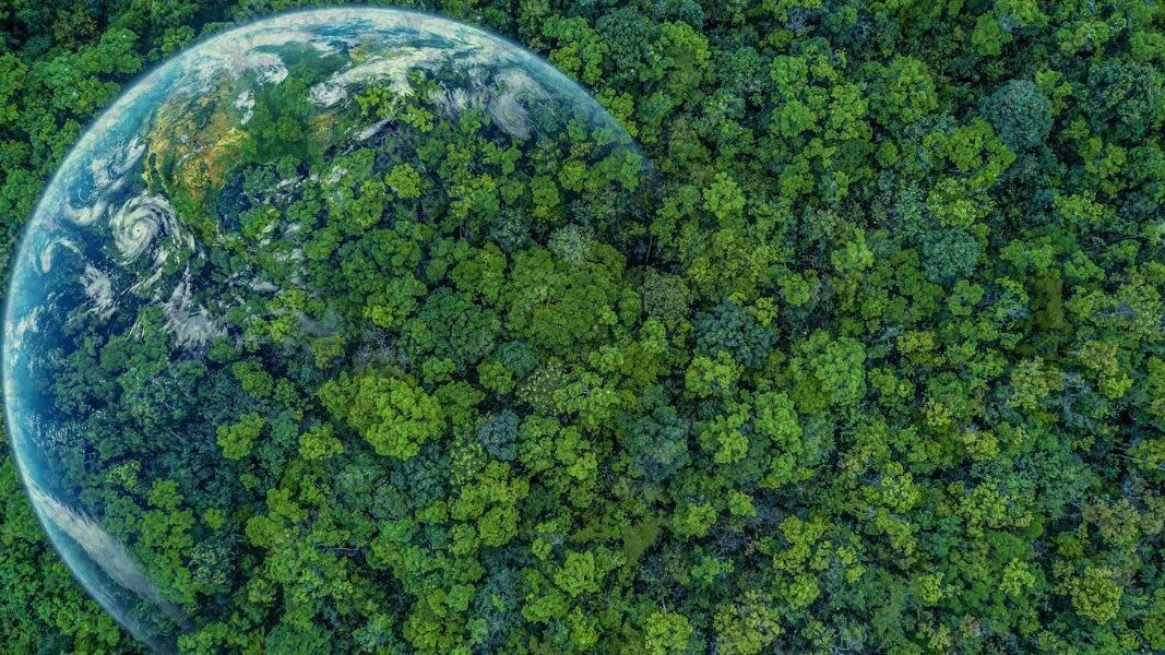    Наталья Комарова обсудит с югорчанами вопросы экологии