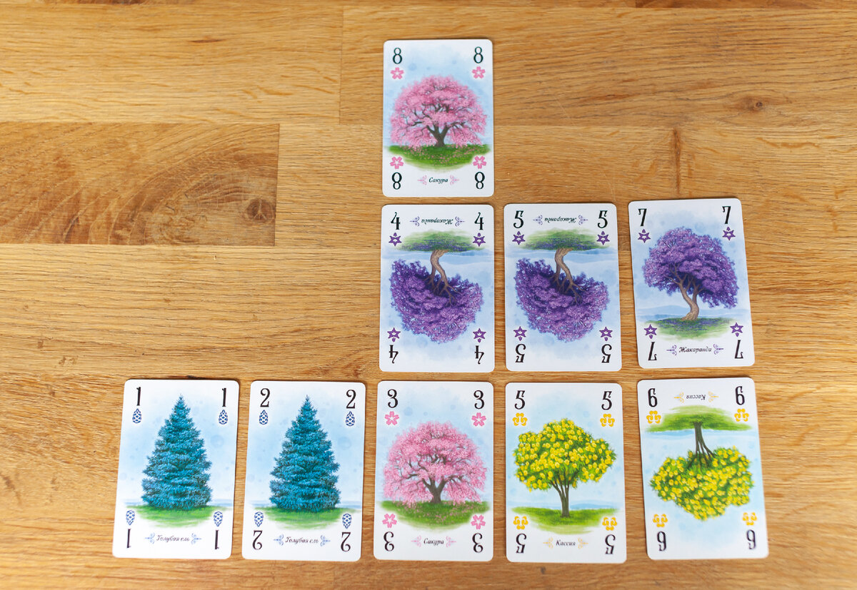 Арборетум / Arboretum - настольная игра про аллеи из деревьев |  Thatsmyboardgame - настольные игры для всей семьи | Дзен