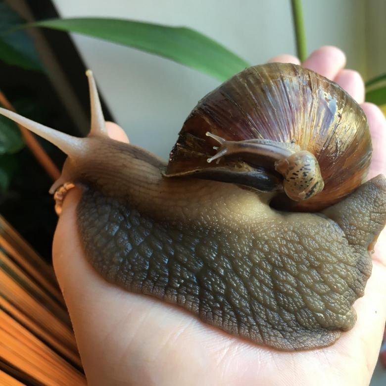 ФОТО В ОТКРЫТОМ ДОСТУПЕ.