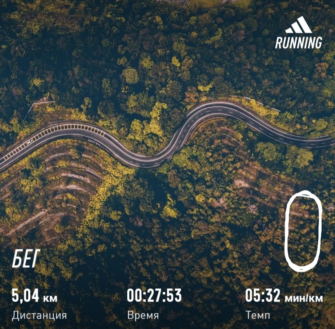 13.05.2023 первый день. Начало положено.