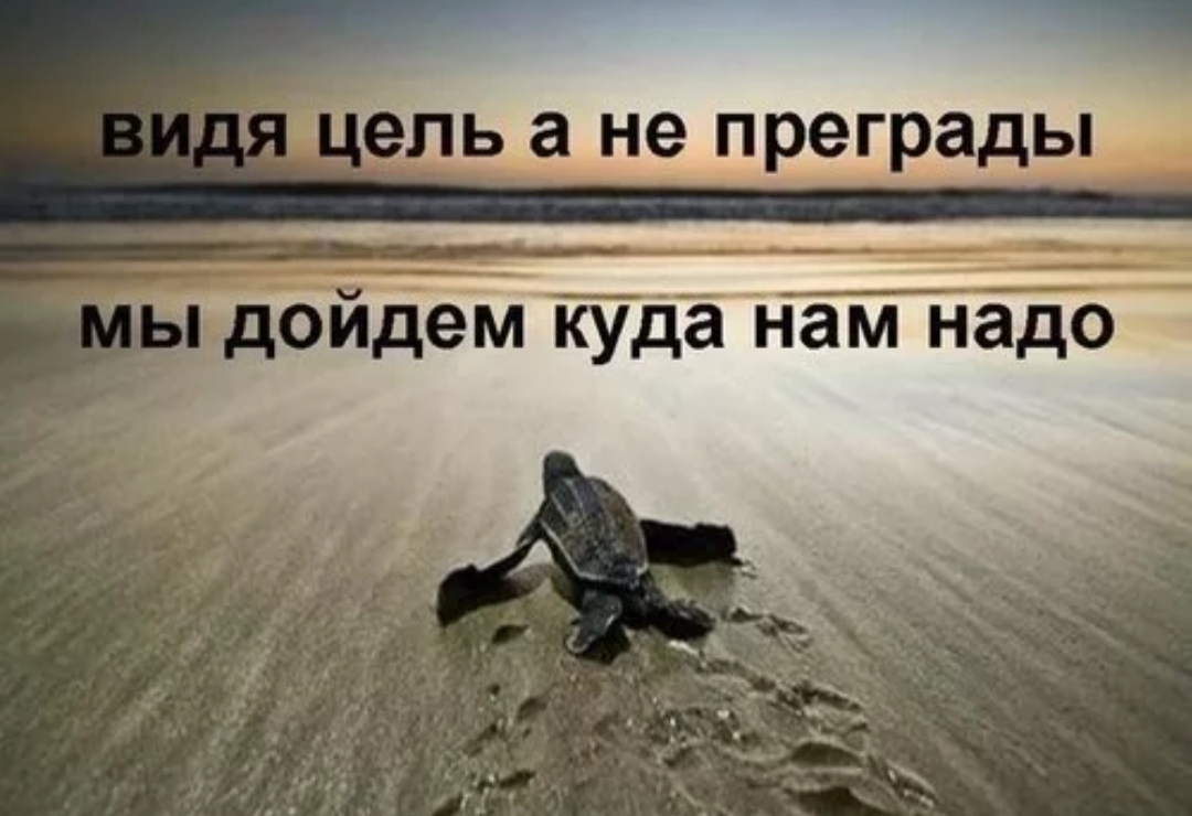 Время пришло покинуть гнезда только вперед. Мотивационные фразы. Цель жизни приколы. Мотивация на достижение цели. Фразы мотиваторы