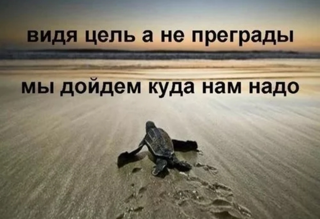 Несмотря на то что последние. Цель цитаты мотивация. Вперед к цели. Идти к цели. Цель жизни приколы.