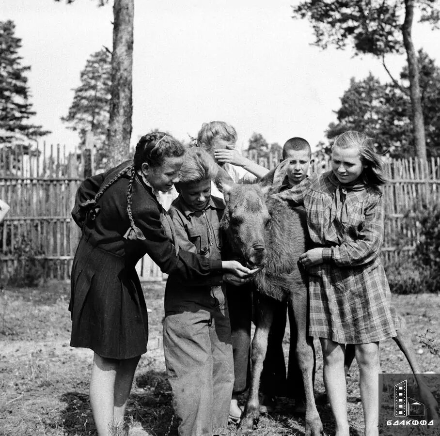 Группа белорусских и литовских школьников в Березинском заповеднике, Минская область, 1949 г.