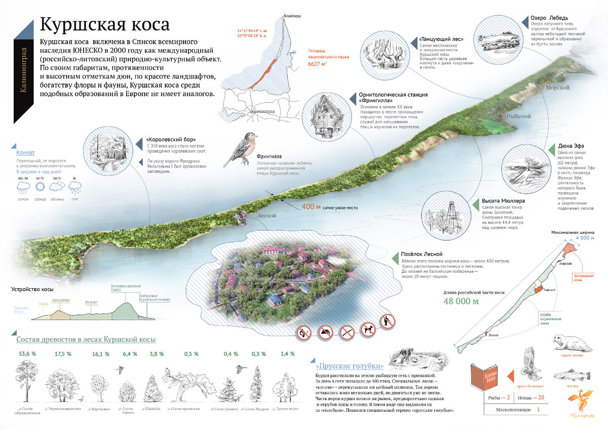 Карта куршской косы с достопримечательностями