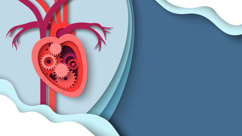 Болезни сердца: гипертрофия левого желудочка | ТЕЛЕКАНАЛ ДОКТОР | Дзен