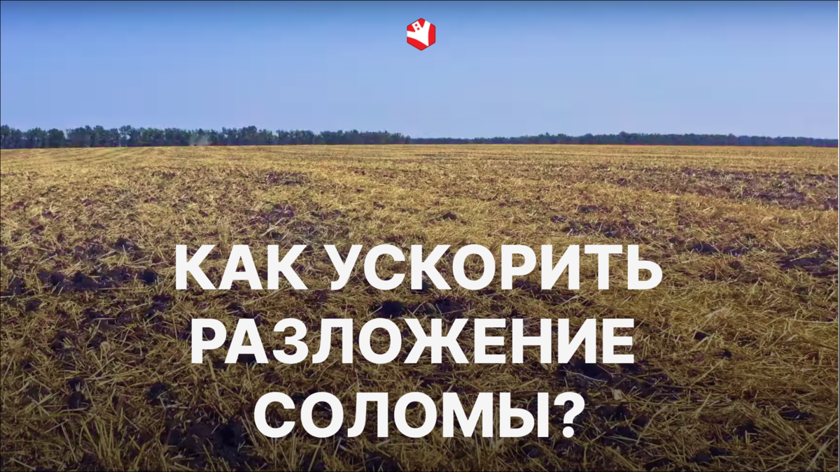 Кадр из выпуска на канале "Культиватор"