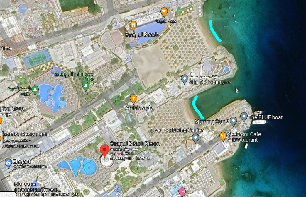 Seagull Beach Resort 4* в Египте