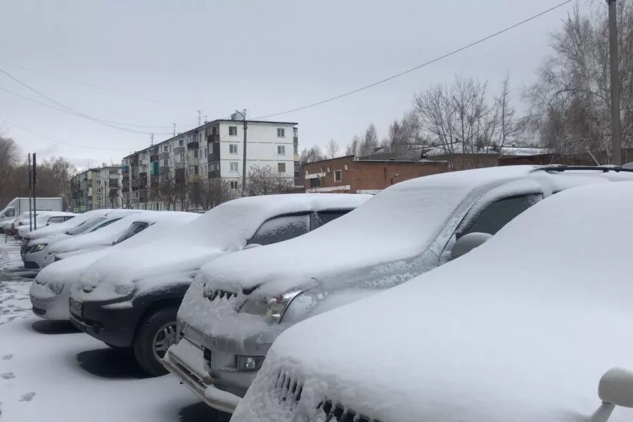 Погода в бийске года