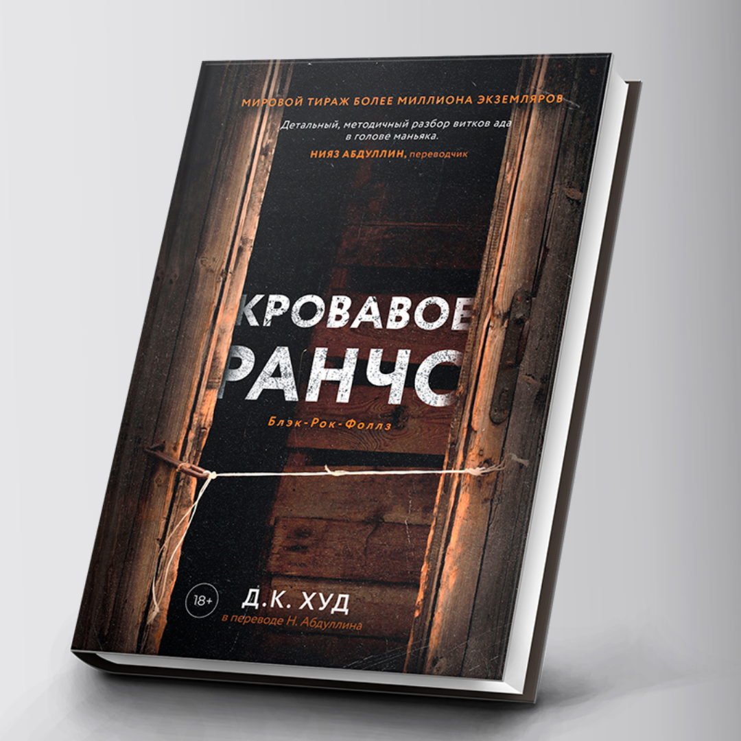 Интервью с переводчиками «Дома историй». Часть II: Нияз Абдуллин и Ольга  Дементиевская | Издательство «Дом историй» | Дзен