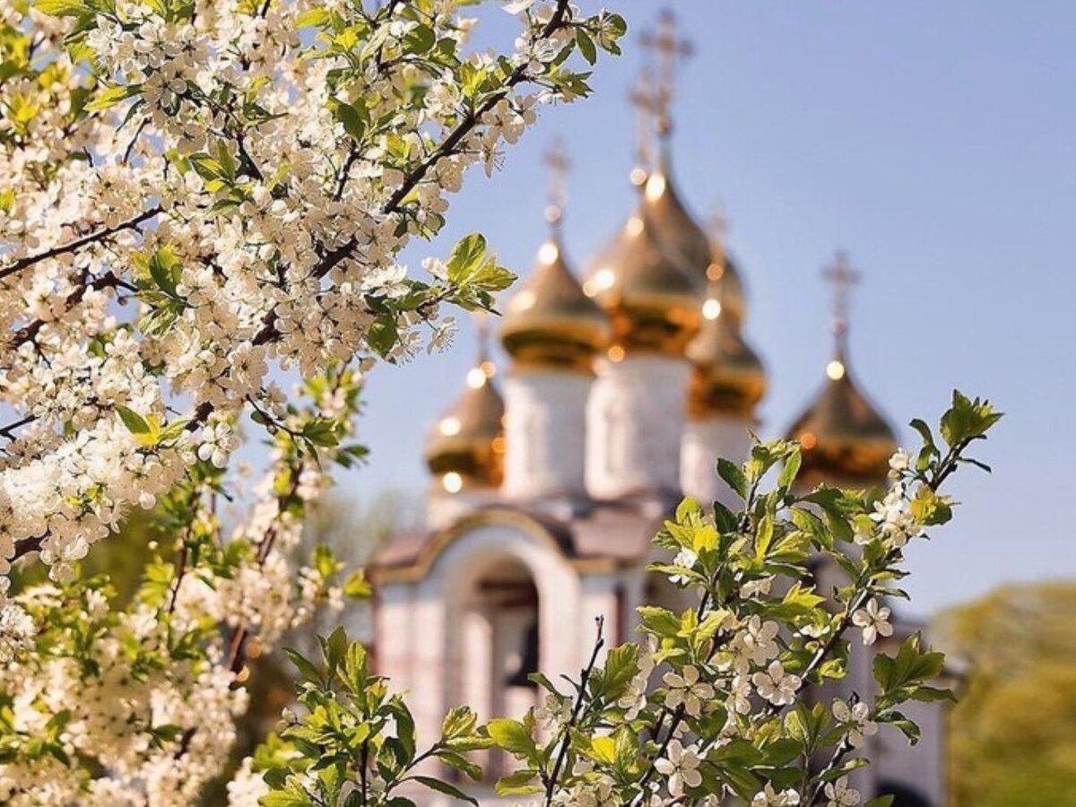 Храм в цветах. Дивеево весной. Церковь весной. Православный храм весной. Красивая Церковь весной.