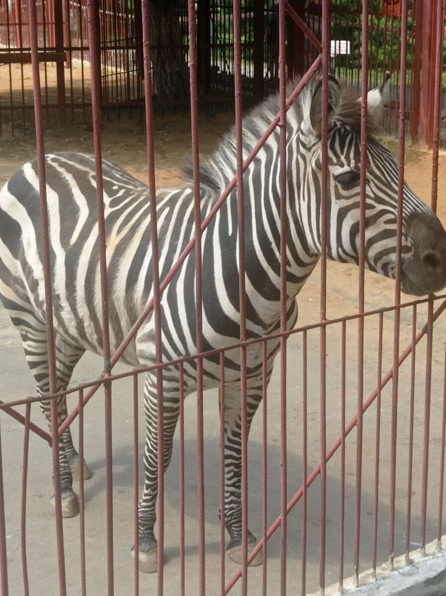 Фотография автора