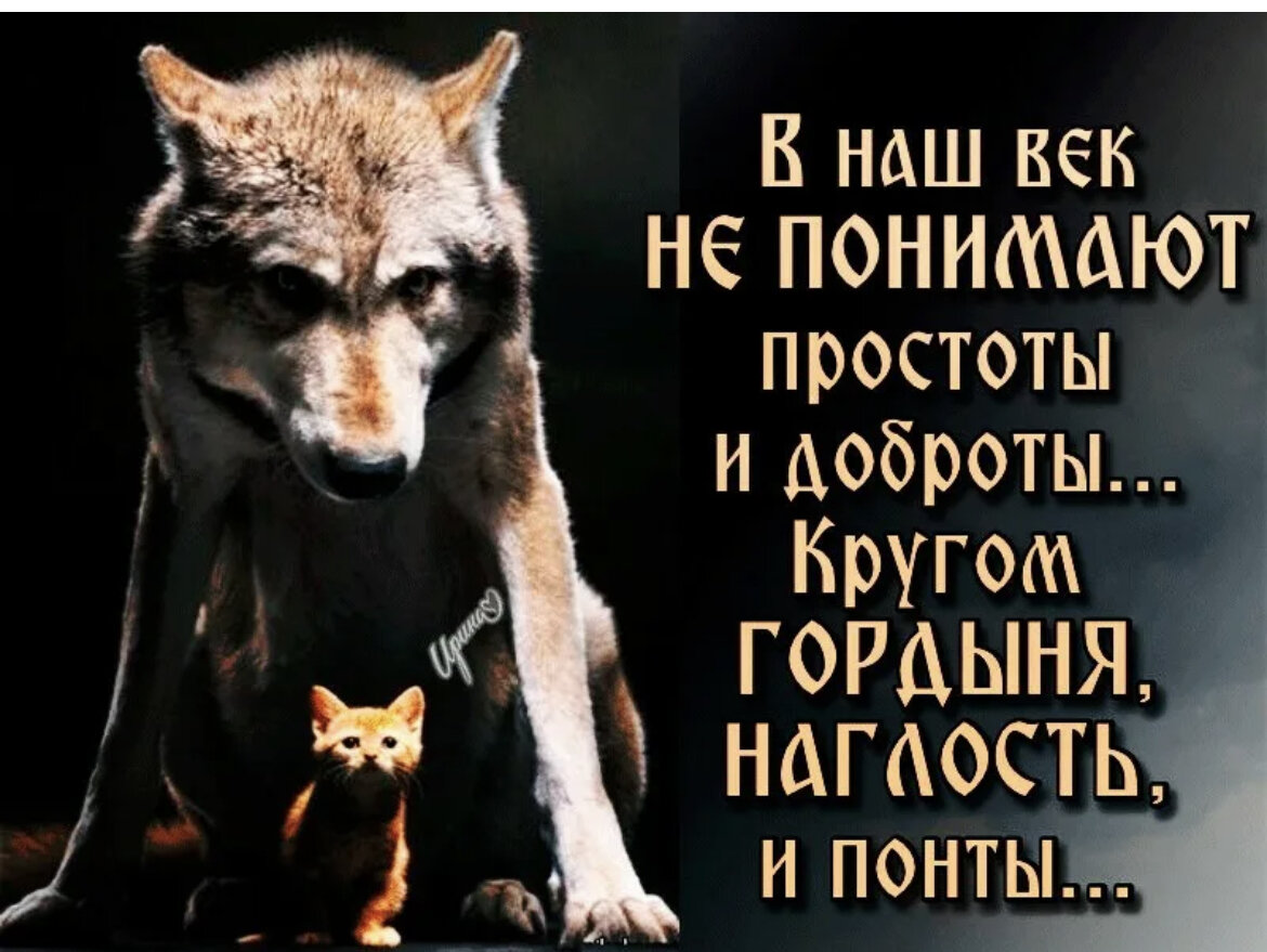 Наглость это. Статусы про доброту и наглость. Доброта и злость. Высказывания про наглость. Статусы про доброту