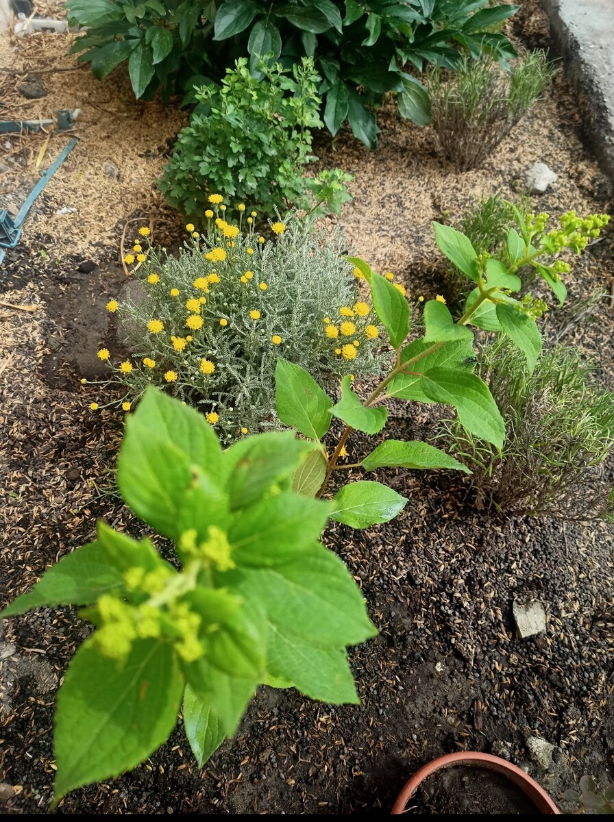 С него все начиналось