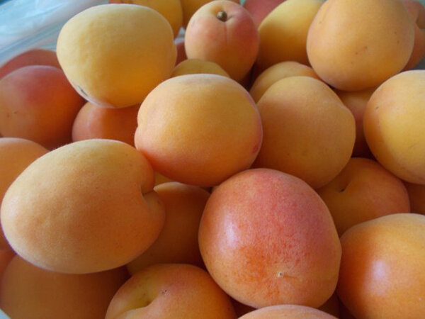 Абрикосовое варенье — рецепт, который делают в разных вариантах. Из книги по консервированию фруктов можно узнать, что существует два вида абрикосового варенья: из зеленых и спелых абрикосов.-2