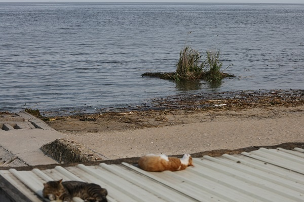 Черное море сейчас