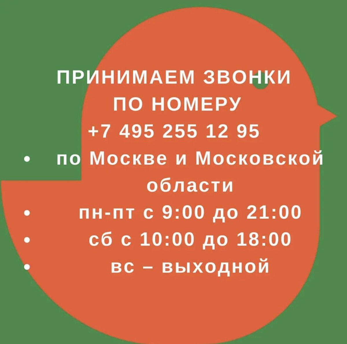 Что делать, если вы нашли на улице кошку? | КОТОБЮРО – КОТОКАФЕ, АНТИКАФЕ,  КОВОРКИНГ | Дзен