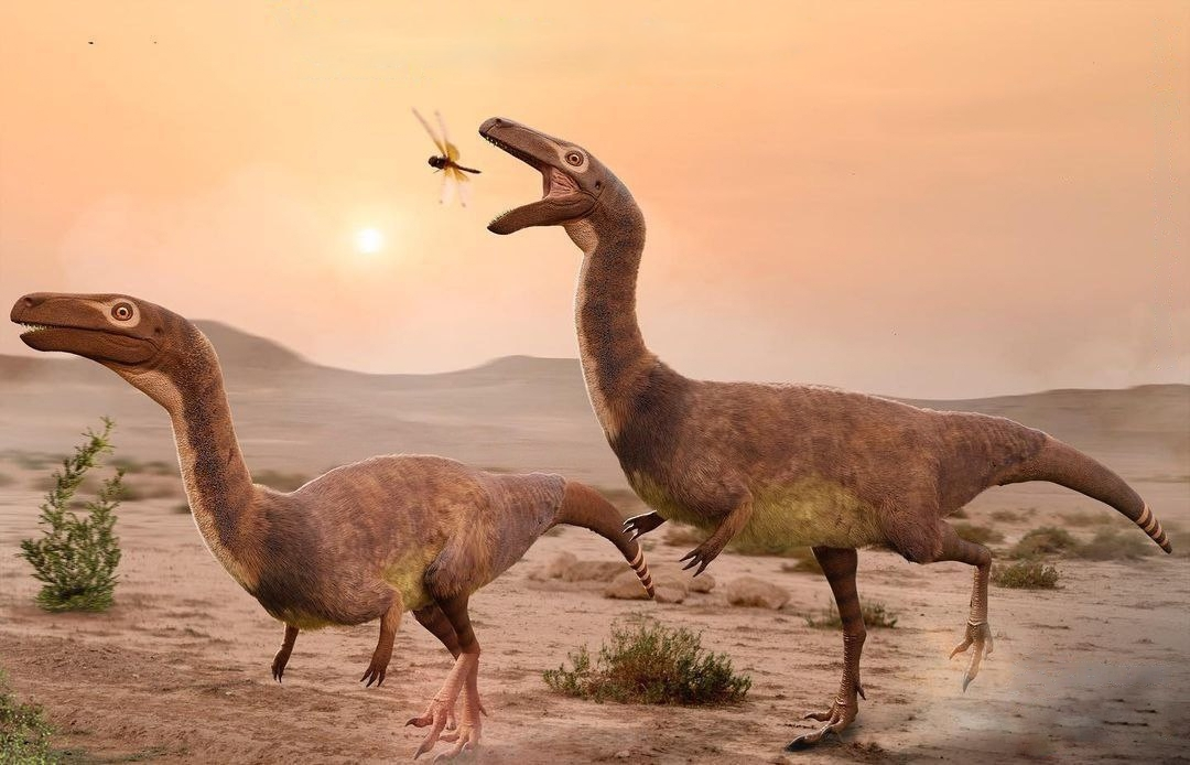 Кто-то может вспомнить, что у современных страусов тоже специфическое строение ног. Но страус всё-таки птица, а вот весперзавр относится к нептичьим динозаврам. Это делает строение его ножек ещё более удивительным.