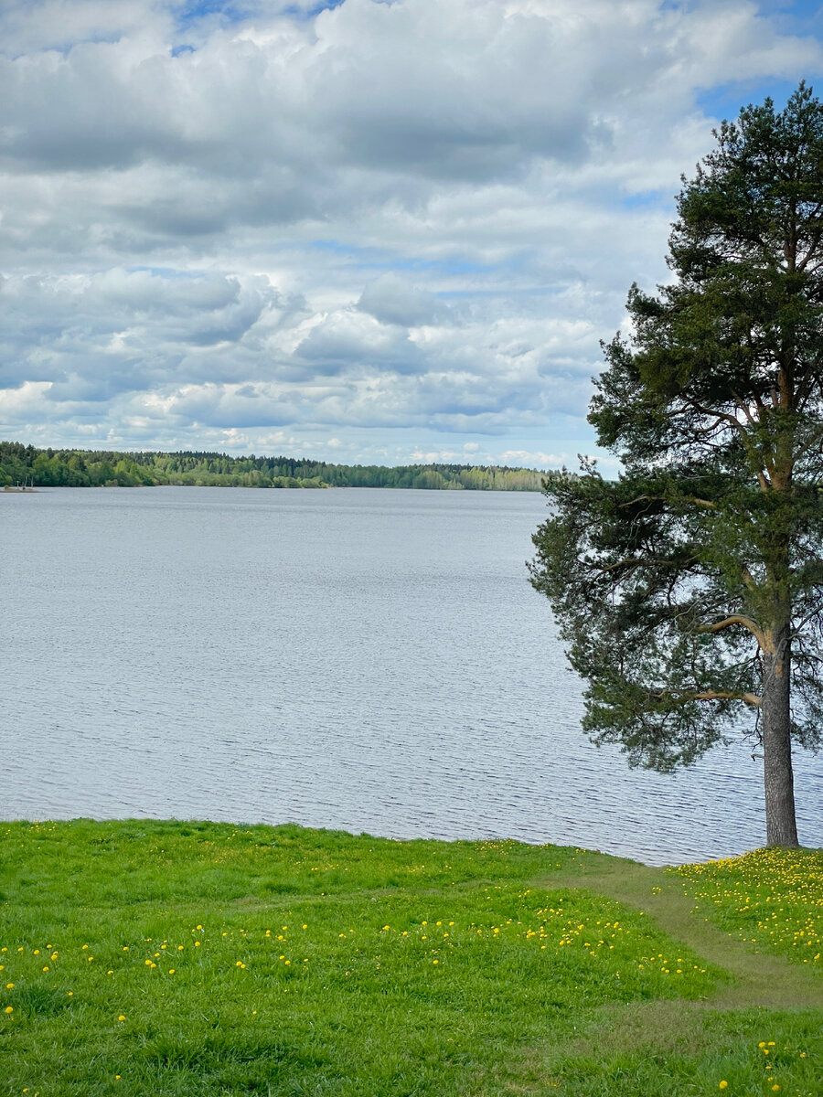 Вид на Ферапонтовское озеро