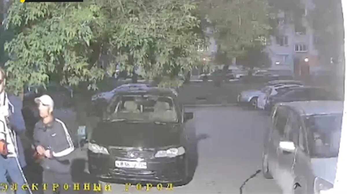 Фото: Стоп-кадр из видео