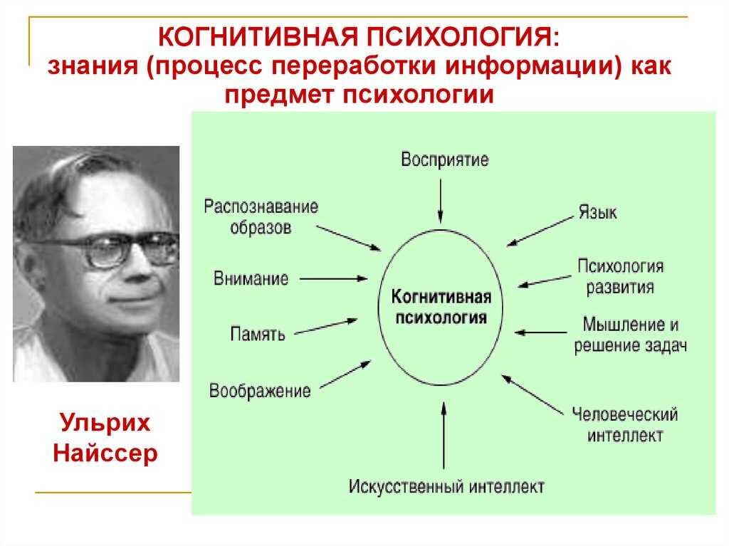 Когнитивные способности картинки