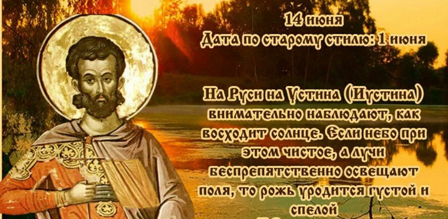 Фото из открытого источника