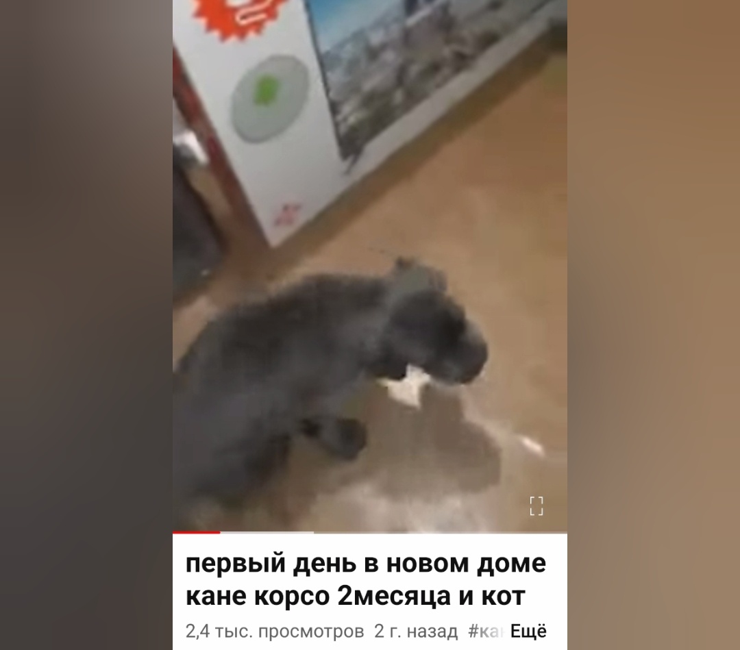 Качество отвратительное.