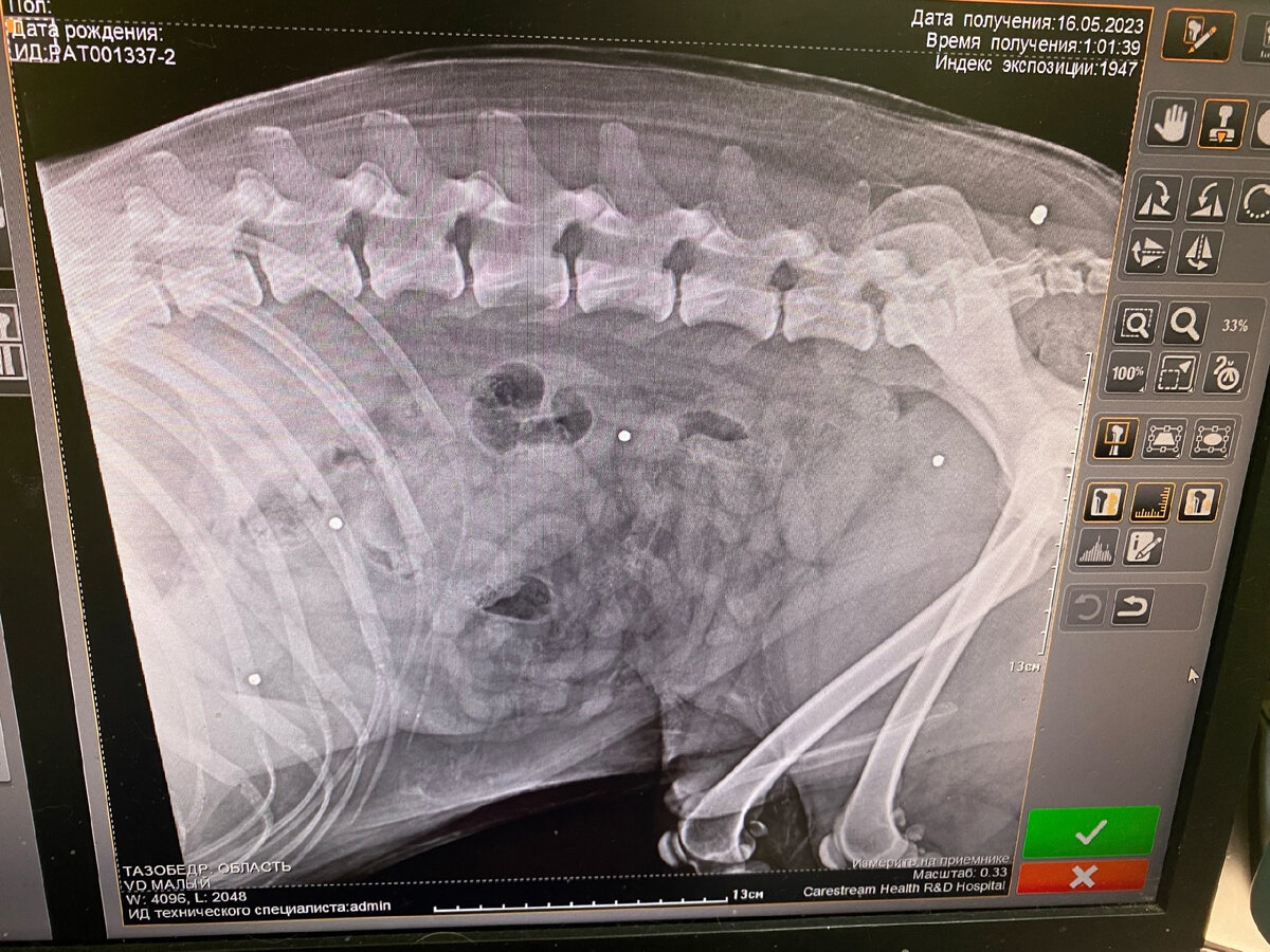 Дробь по всему телу