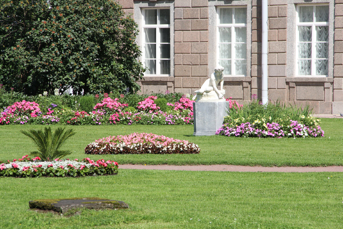 Фото автора. Исключительно из эстетических соображений.
