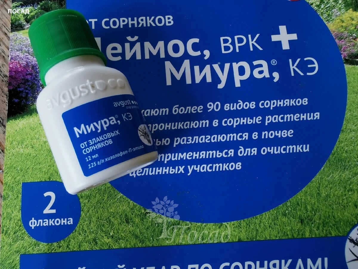 Деймос и Миуру можно применять как вместе, так и порознь. Муж купил мне такой набор из двух гербицидов.