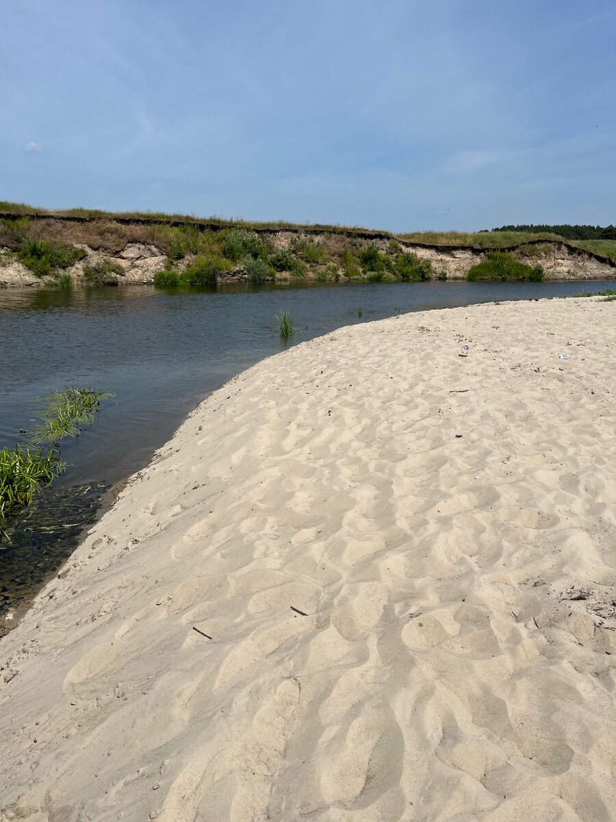 Река Сейм в Курской области, в ней еще можно купаться  💪🧜‍♂️🧞‍♂️🌊🌊🏊‍♂️🚣‍♂️ | Мажорка на пенсии | Дзен