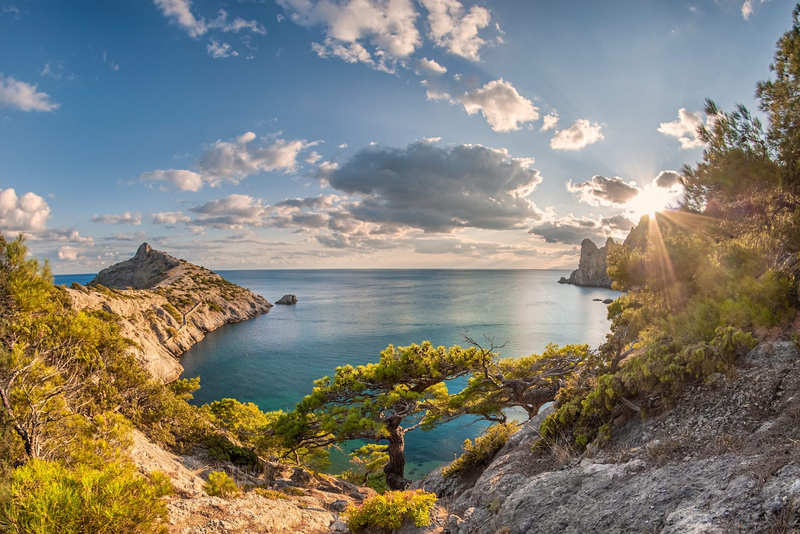 Яндекс.Картинки. Не фото автора.