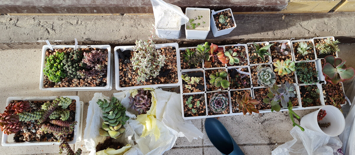 Распаковка очередной посылки