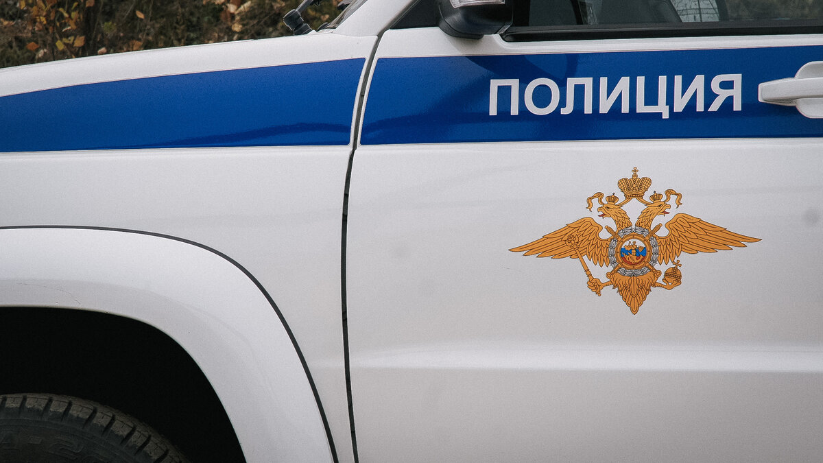     Ребенок выбежал на проезжую часть из-за припаркованного автомобиля.