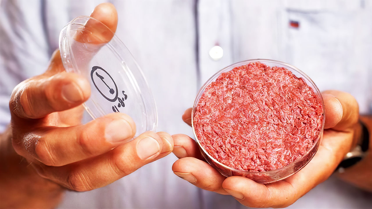 Искуственно или искусственно. Искуственно или искусственно. Синтетические полимерные материалы. Стволовые клетки и выращивание органов и тканей. Синтетические наркотики.