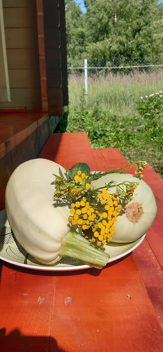Летний натюрморт.